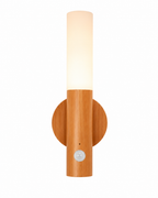 Motion Sensor Wall Light