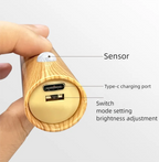 LED Night Light USB Charging Intelligent Human Induction For Bedside Cabinet Home Wardrobe Lighting Motion Sensor Light Led Lamp