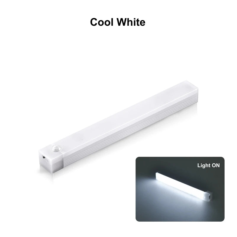 Motion Sensor Light